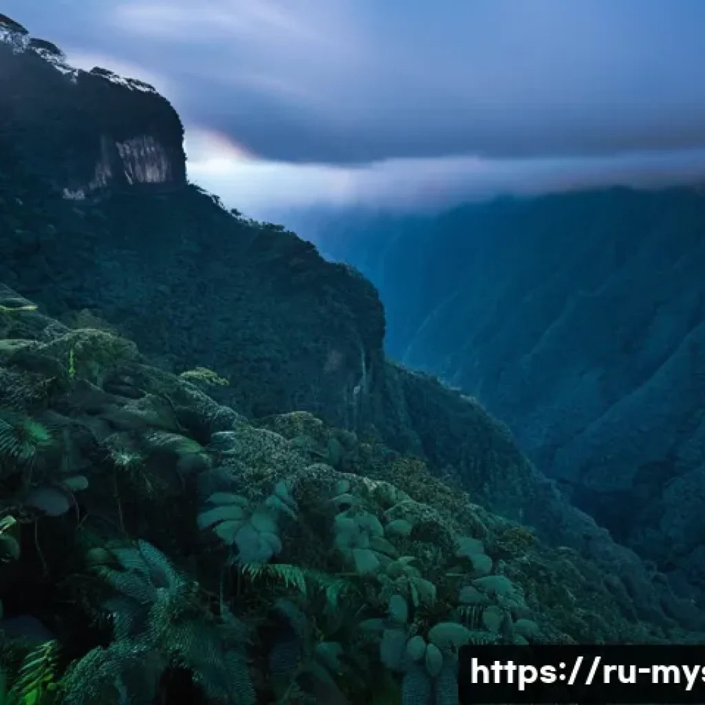 콜롬비아 라 루나 산괴 사건 - A mysterious early morning scene on a remote Colombian mountain slope, shrouded in dense forest and ...